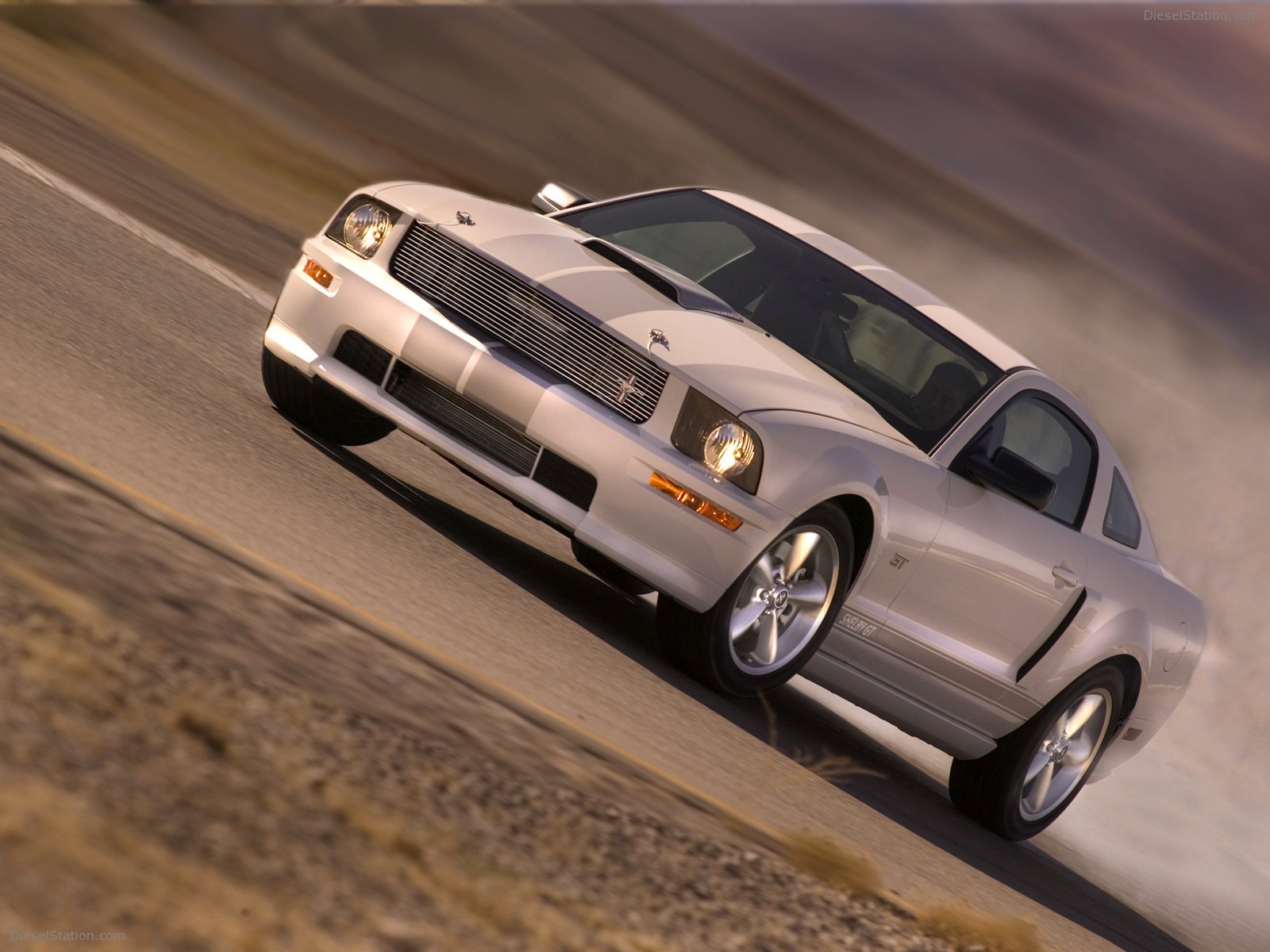 Ford Shelby GT